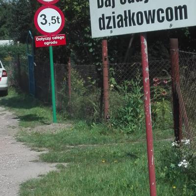 1b